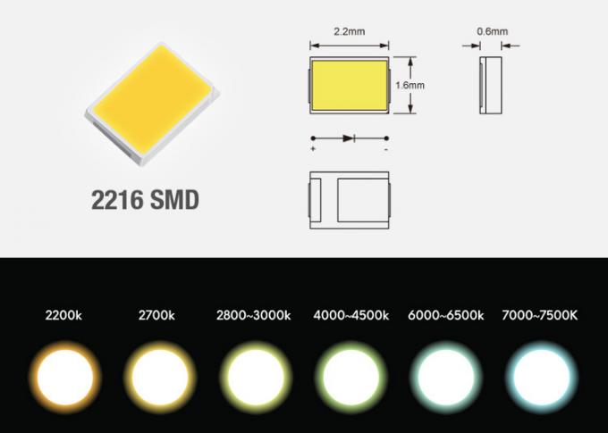 Il nastro della striscia principale SMD 24VDC 2216 accende 300 LED/m. Seamless Light Output alto CRI90 CRI95 1