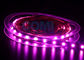 Un colore rosa 25000K, 12/24 volt di 5050 lampade fluorescenti del LED ha condotto le strisce leggere 12mm FPC
